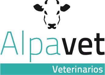 ALPAVET SLP - Servicios Veterinarios